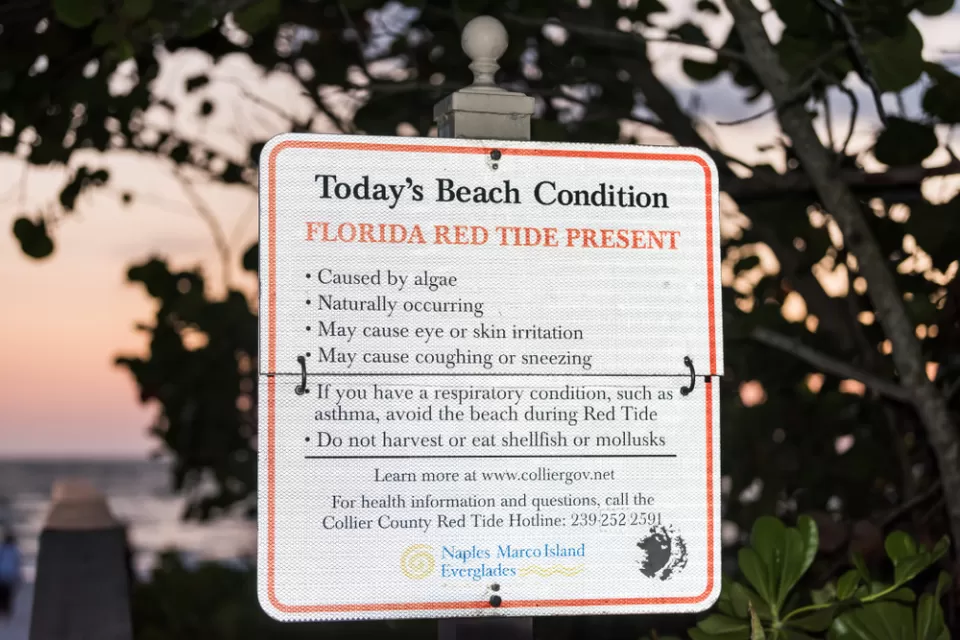 Florida Beach